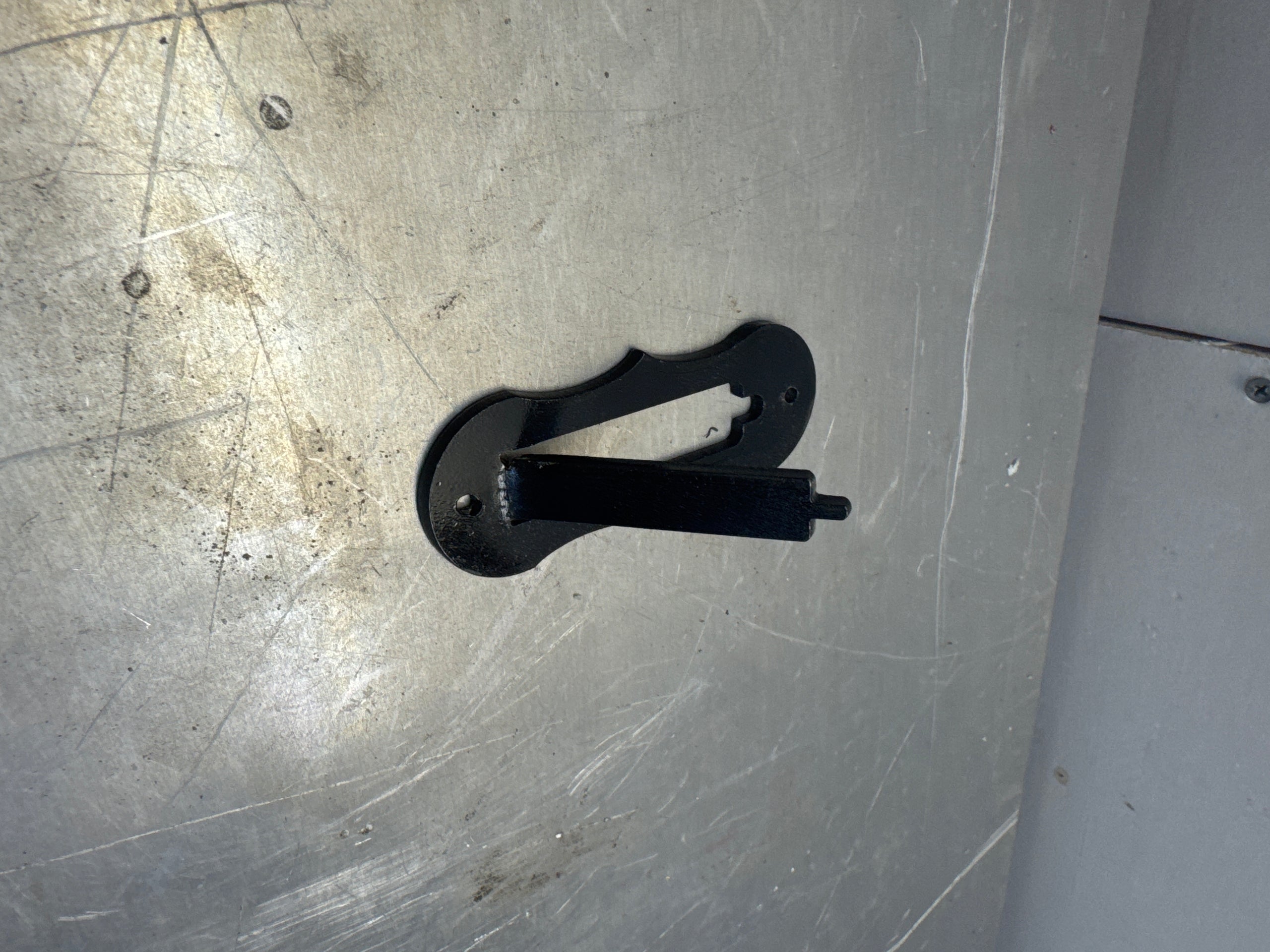 European Mount| Deer